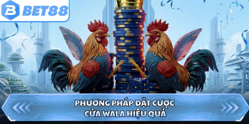 Phương pháp đặt cược cửa Wala hiệu quả